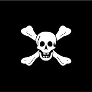 Picture Of Flag Of Pirate Richard Worley